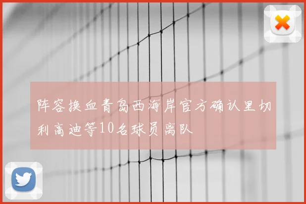 阵容换血青岛西海岸官方确认里切利高迪等10名球员离队